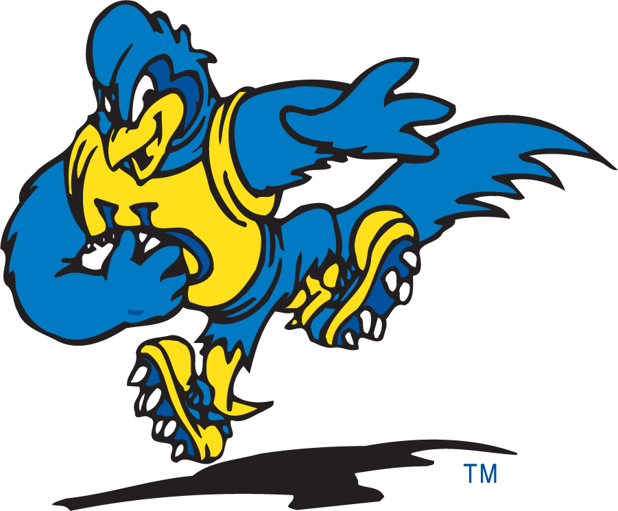Delaware Blue Hens 1999-2009 Mascot Logo v11 iron on transfers for T-shirts